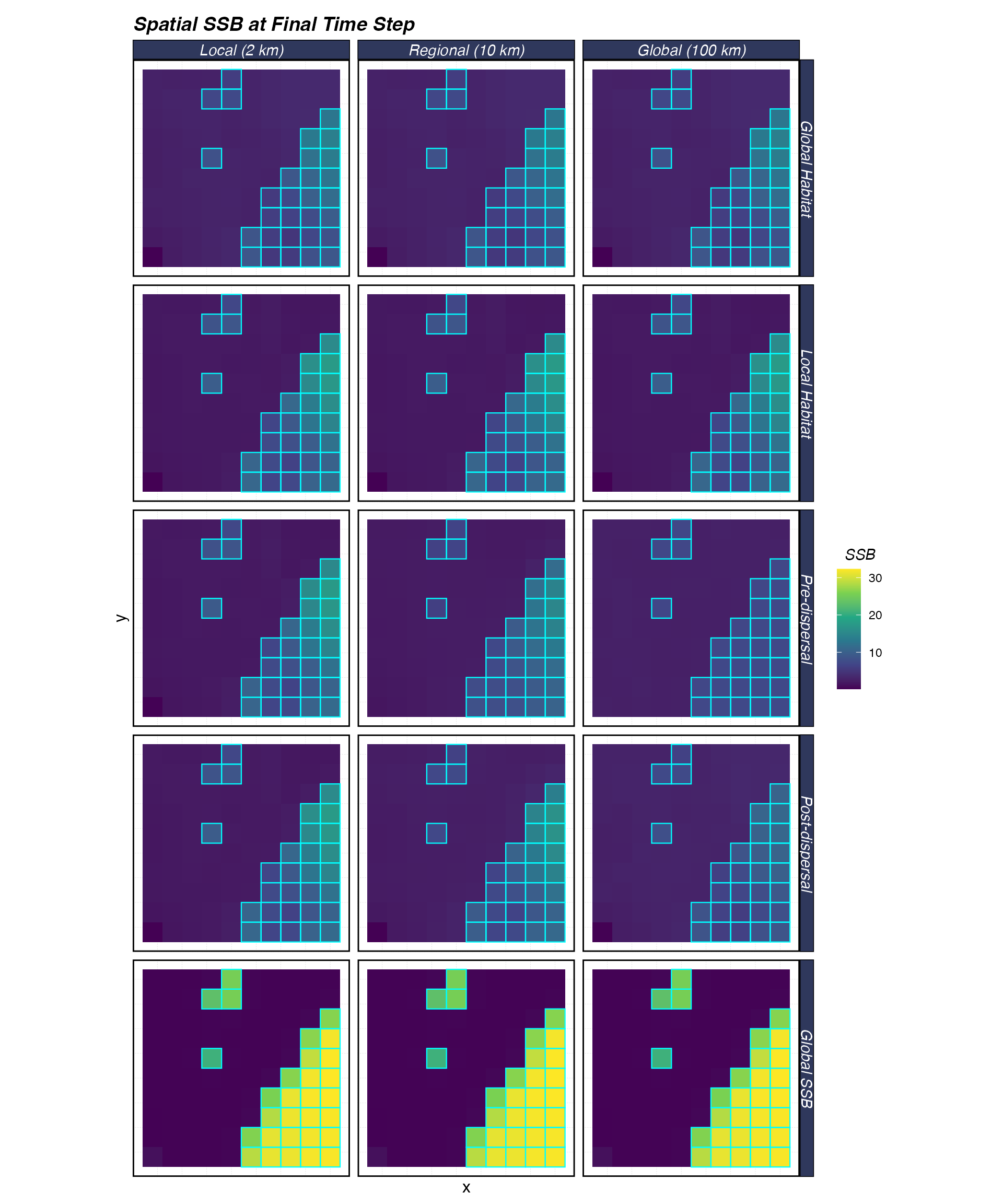 Spatial distribution of SSB at the final time step. Cyan outlines show MPA boundaries. Rows = density dependence; columns = recruit dispersal distance.