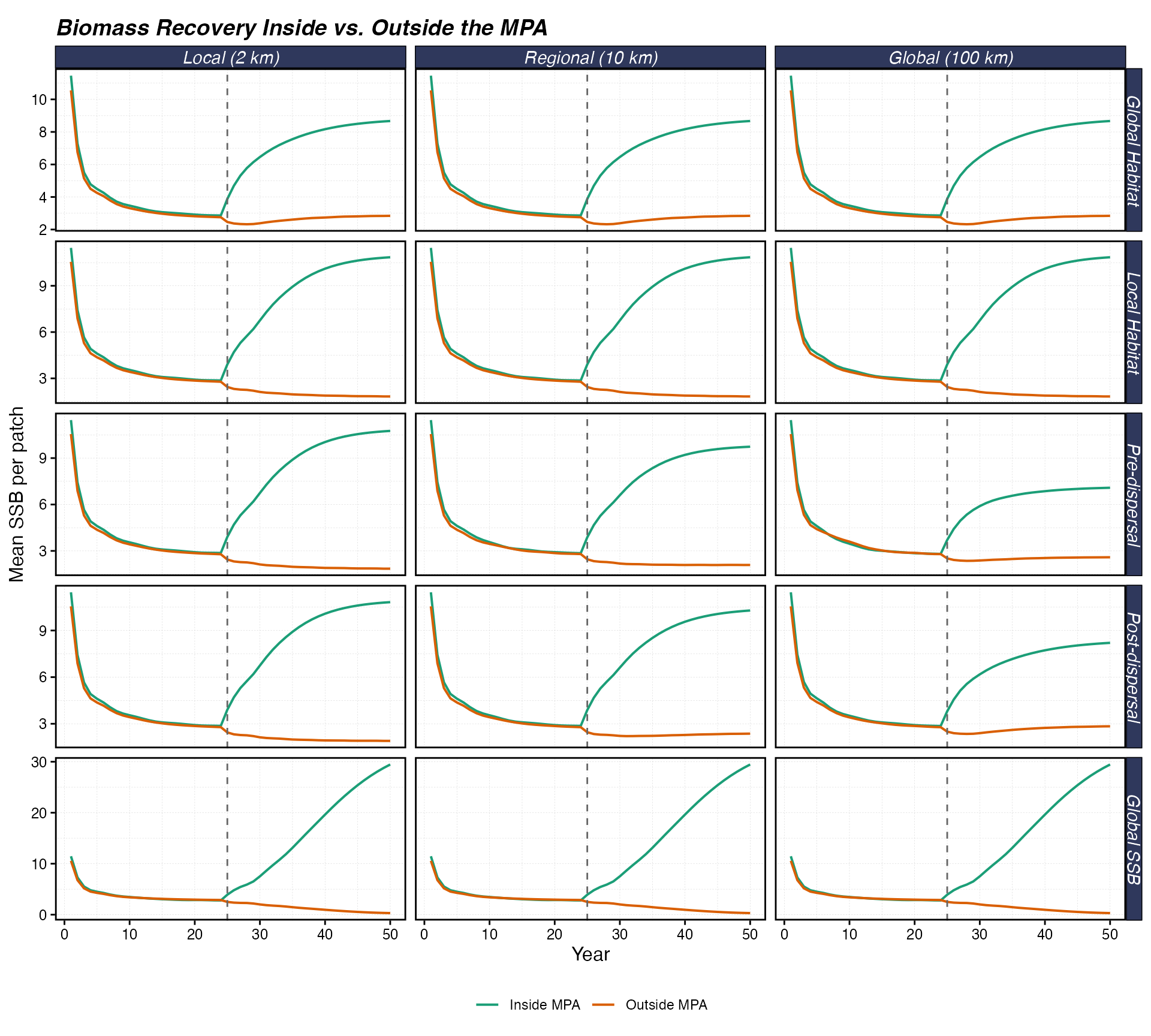 Mean SSB per patch over time, inside vs. outside the MPA. The vertical dashed line marks MPA implementation at year 25. Rows show density dependence forms; columns show recruit dispersal distance.