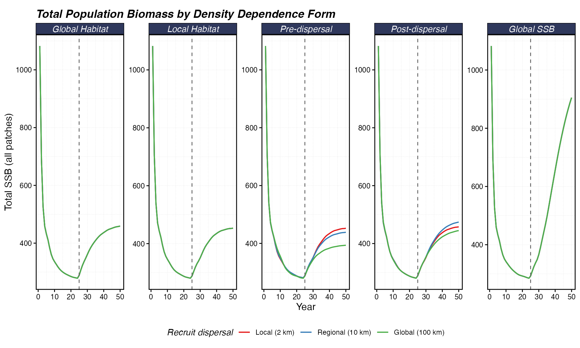 Total SSB across the entire domain over time. A rising trajectory after year 25 indicates the MPA produces a net population benefit; a flat line means only redistribution.